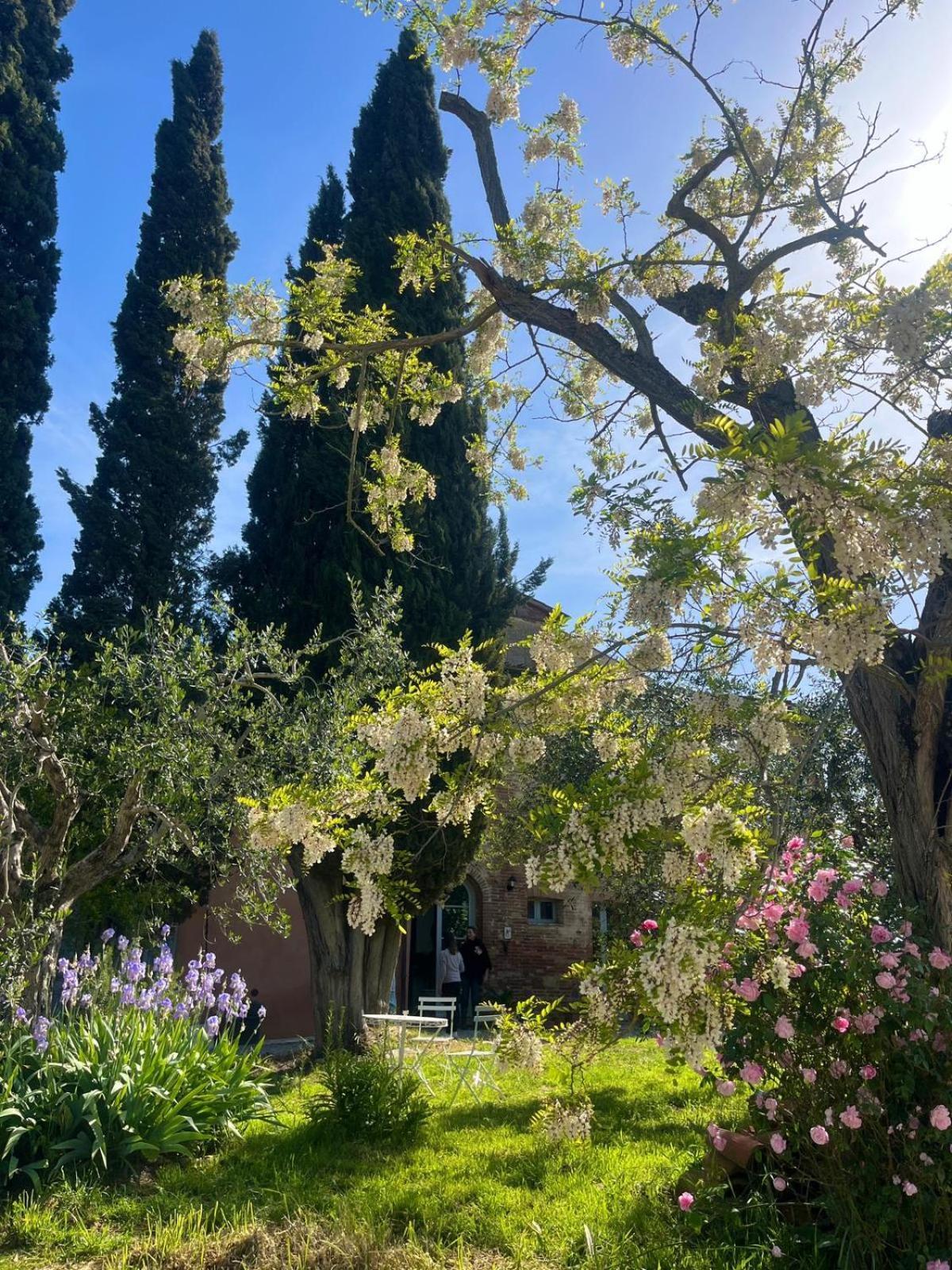 Bed and Breakfast Casa Ezio Marchi Bettolle Exterior foto