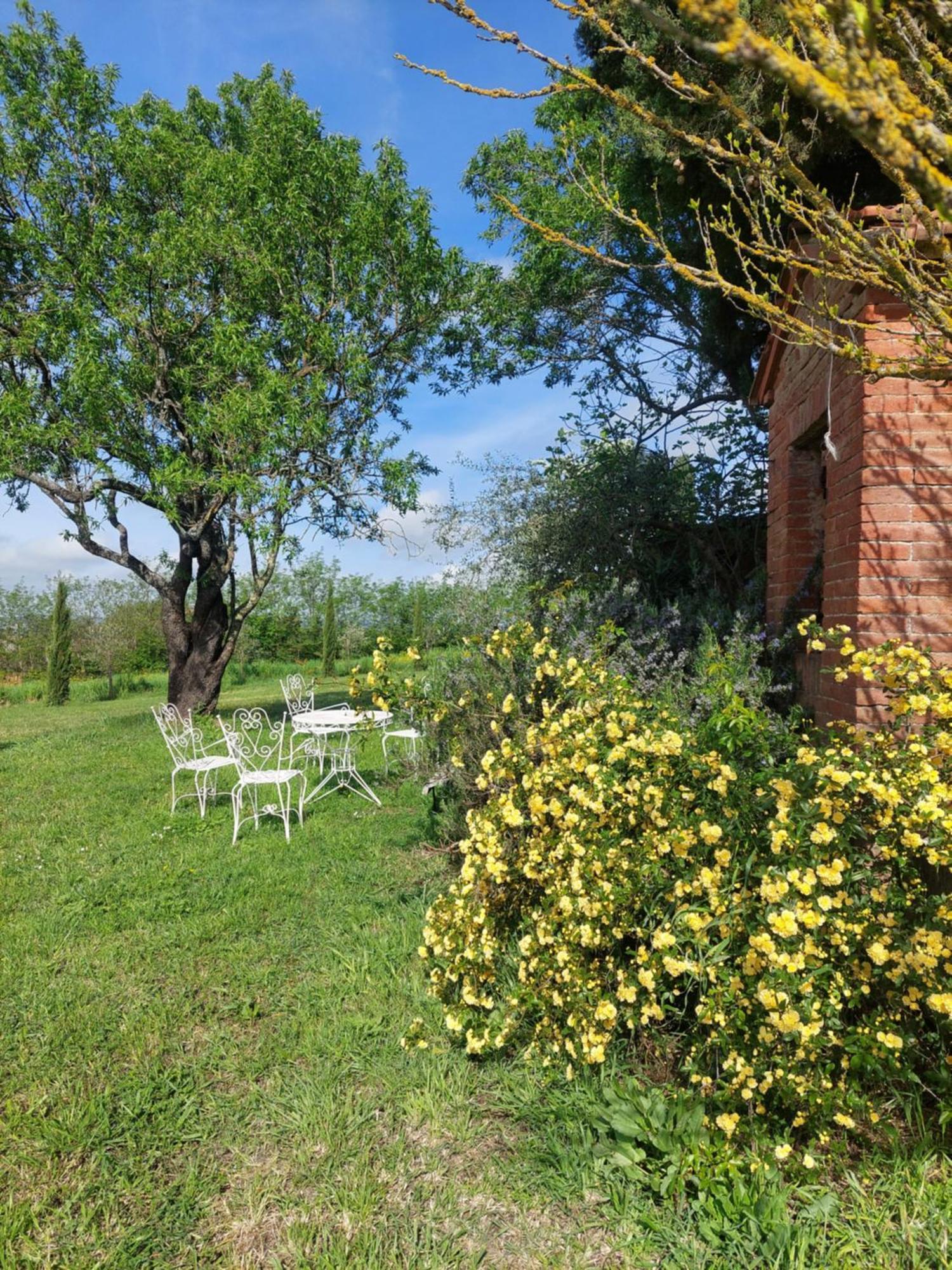 Bed and Breakfast Casa Ezio Marchi Bettolle Exterior foto