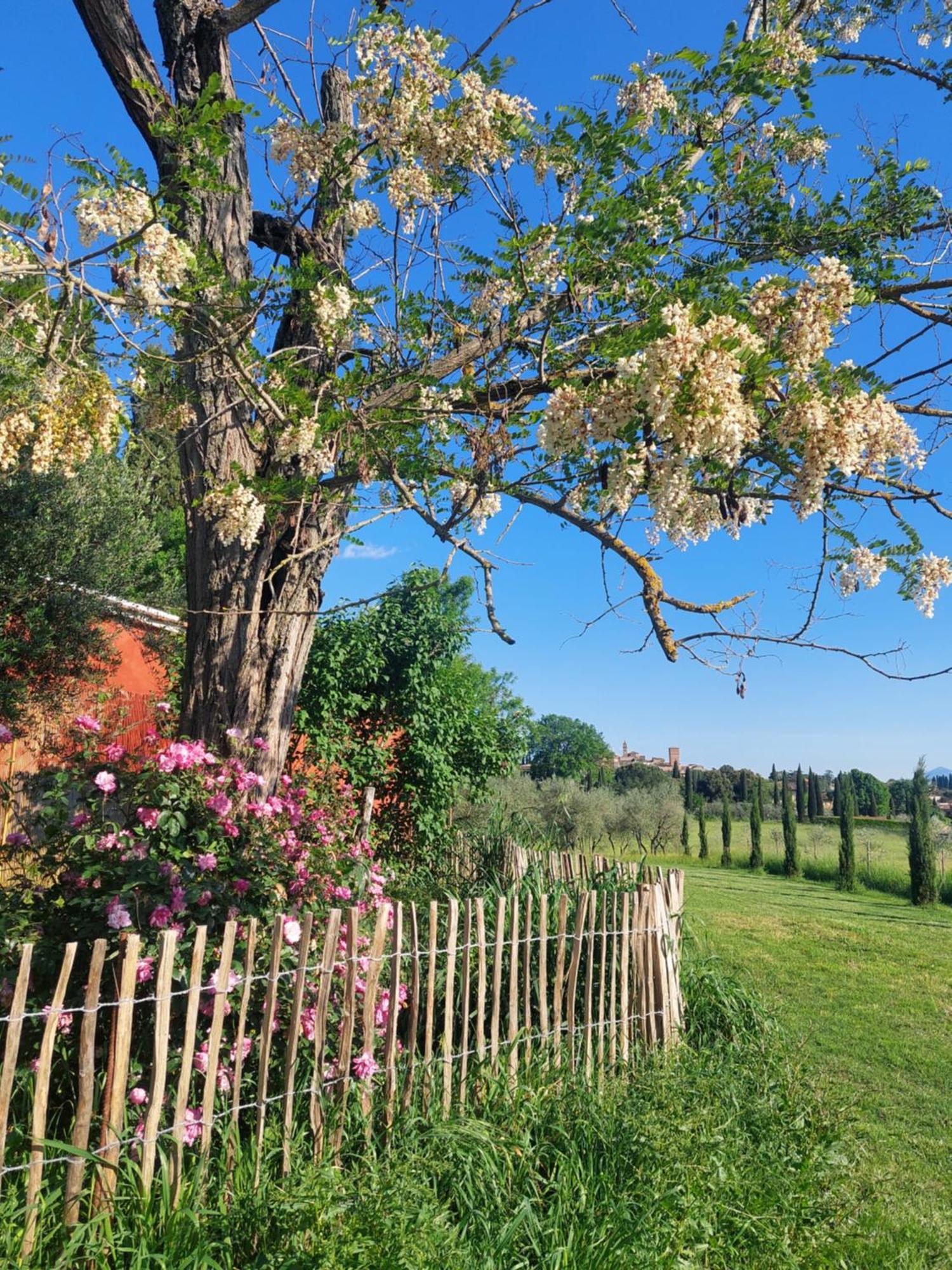 Bed and Breakfast Casa Ezio Marchi Bettolle Exterior foto